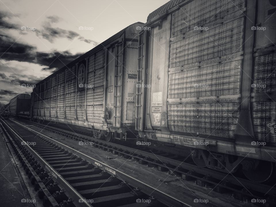 Black and white,train 