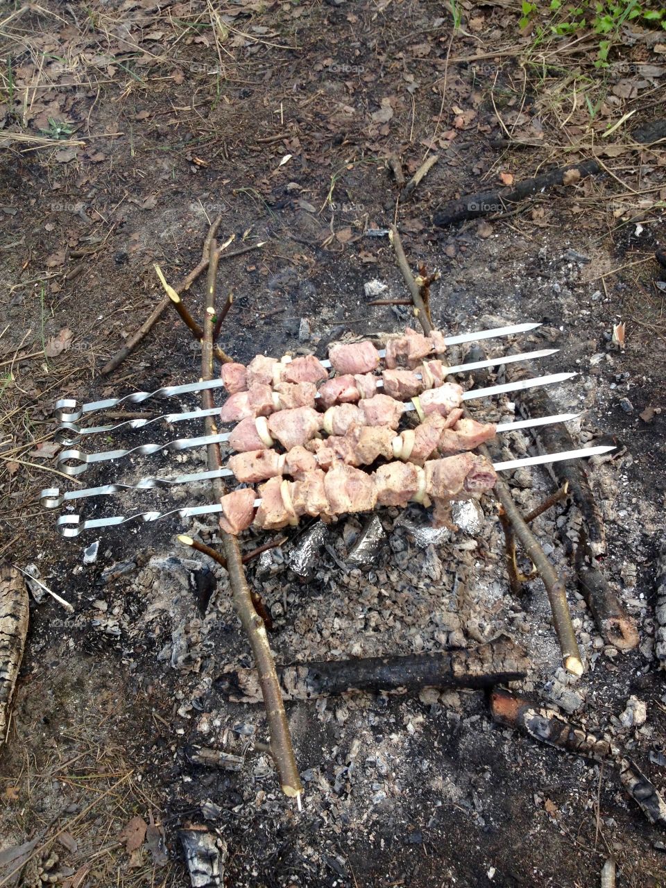 Shashliki on a bonfire on picnic 