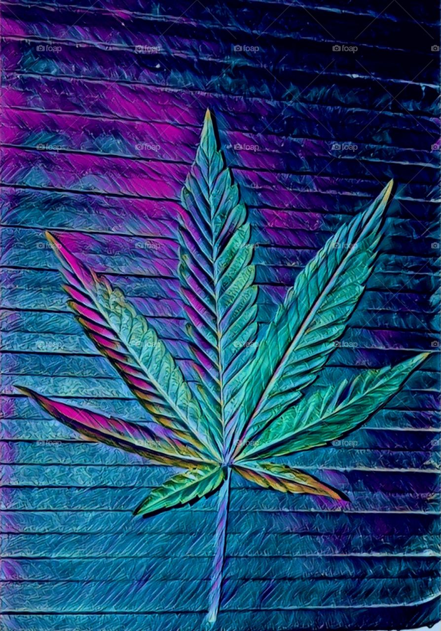 ⚠️Warning⚠️
Cannabis Could Make You
Dream In Color 🌈🎨🦄