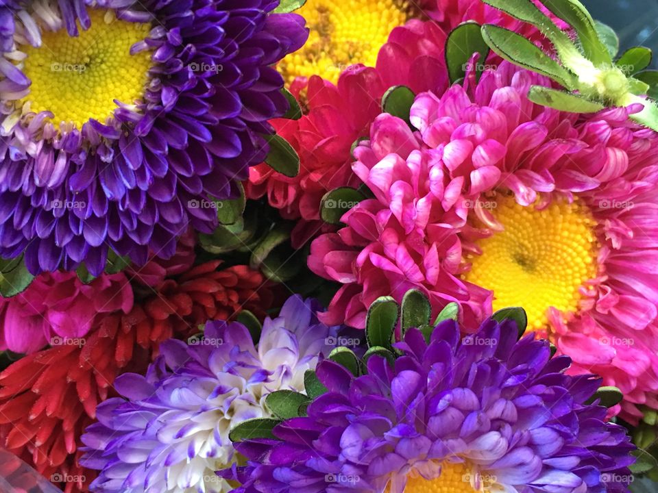 Bright coloured flowers bouquet closeup suitable for background