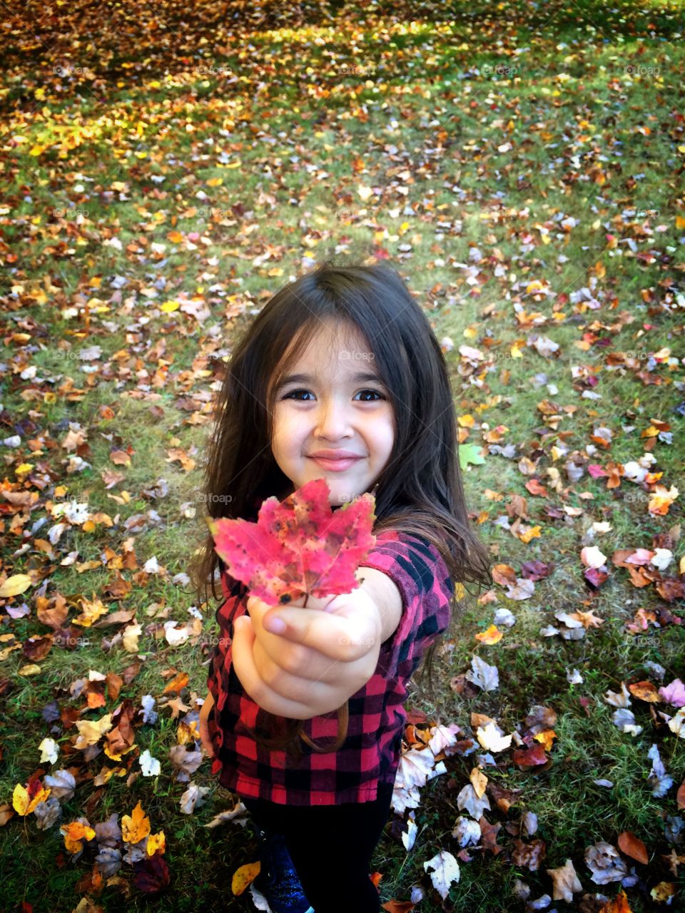Close-up of girl's hand showing autumn leaf