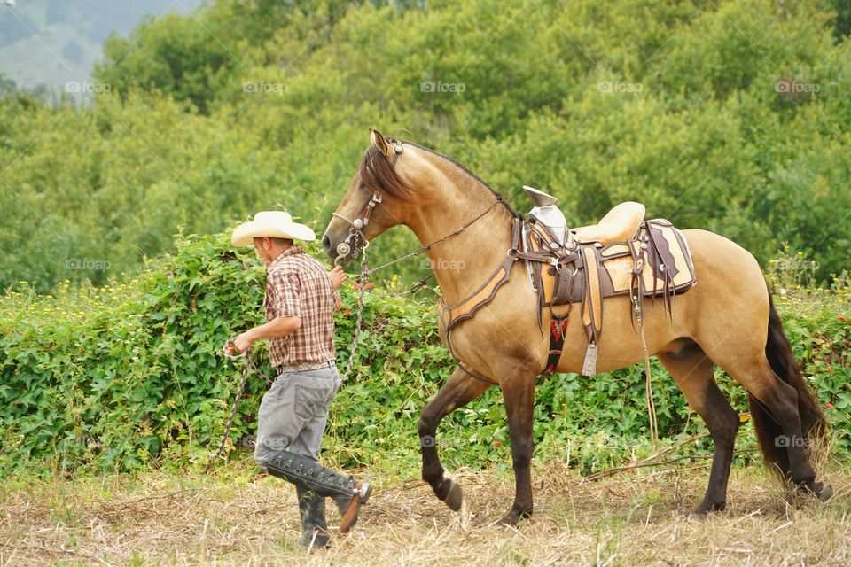 Cowboy Leading His Horse
