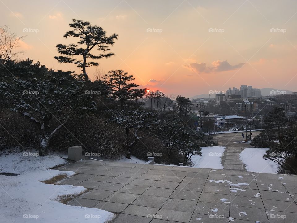 sunset time in the park in South Korea beautiful places winter season 