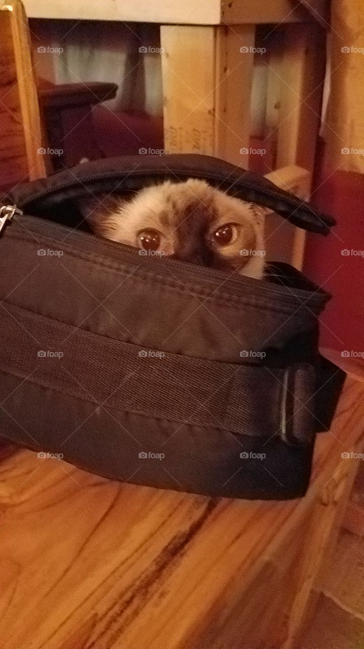 Peek-a-boo