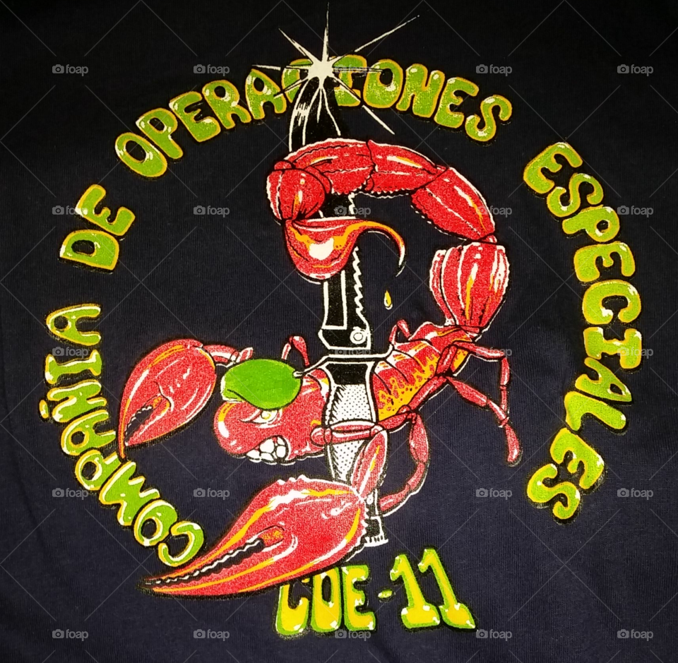 Compañía de operaciones especiales N° 11-Special Operations Company N ° 11