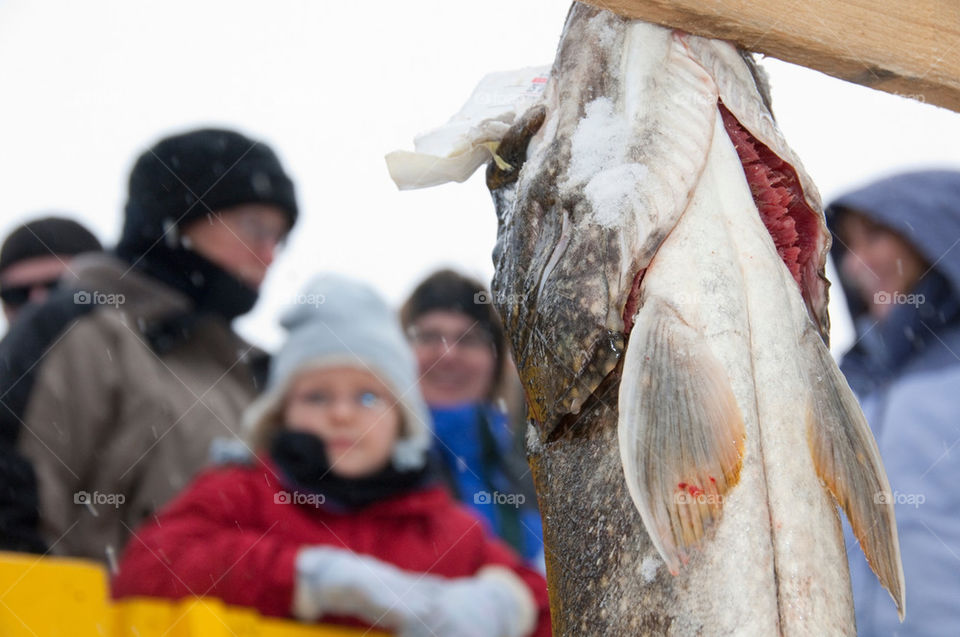 Fish hangs on the fishing board at the fishing derby