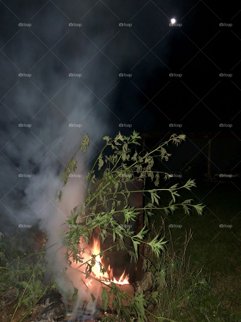 Burning Barrel and Bonfire, burning, barrel, bonfire, night, summer, moon, sky, reflection, corrugated, steel, shed, outbuilding, flames, brush, fire, smoke, billowing