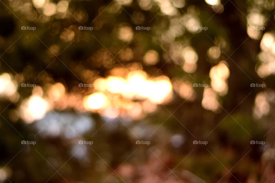 bokeh