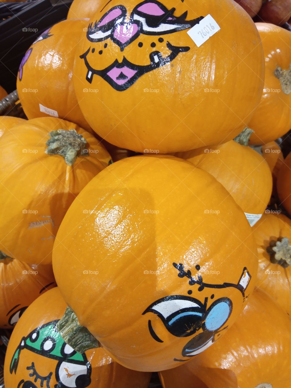 it's a pumpkin season