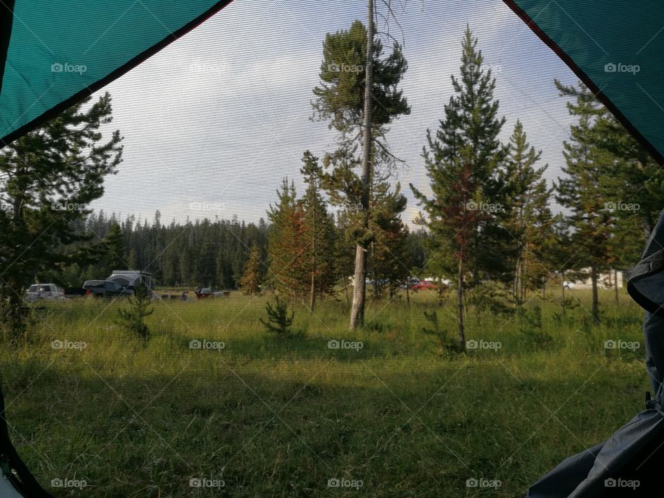 A view out of a tent at Yellowstone National Park.