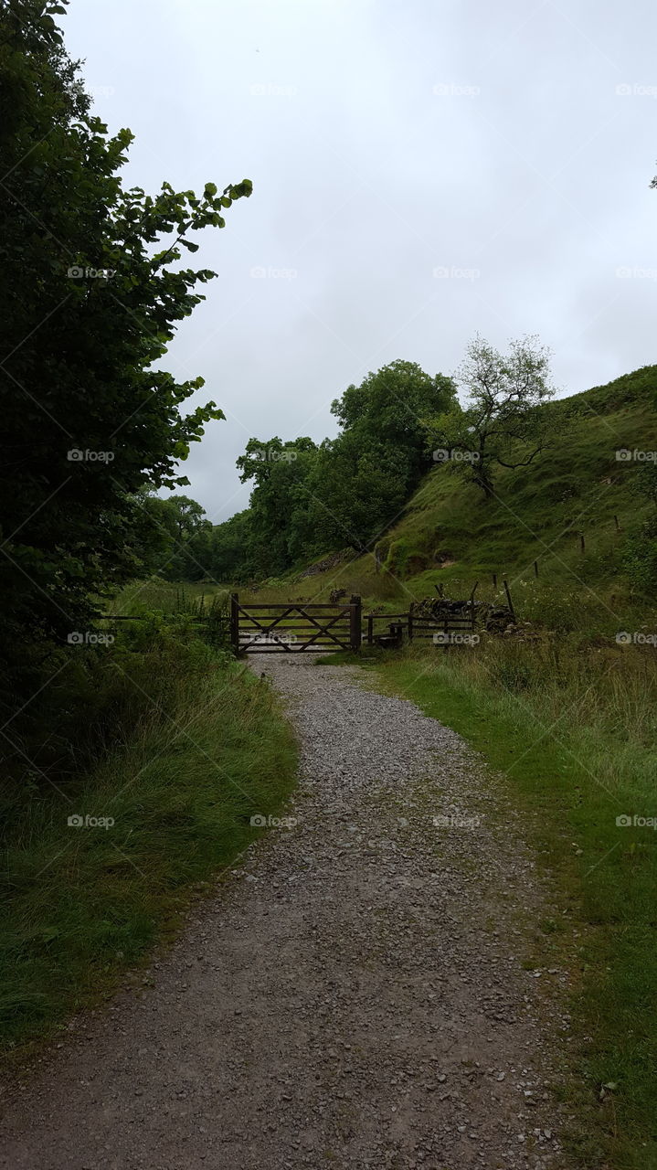 farm gate