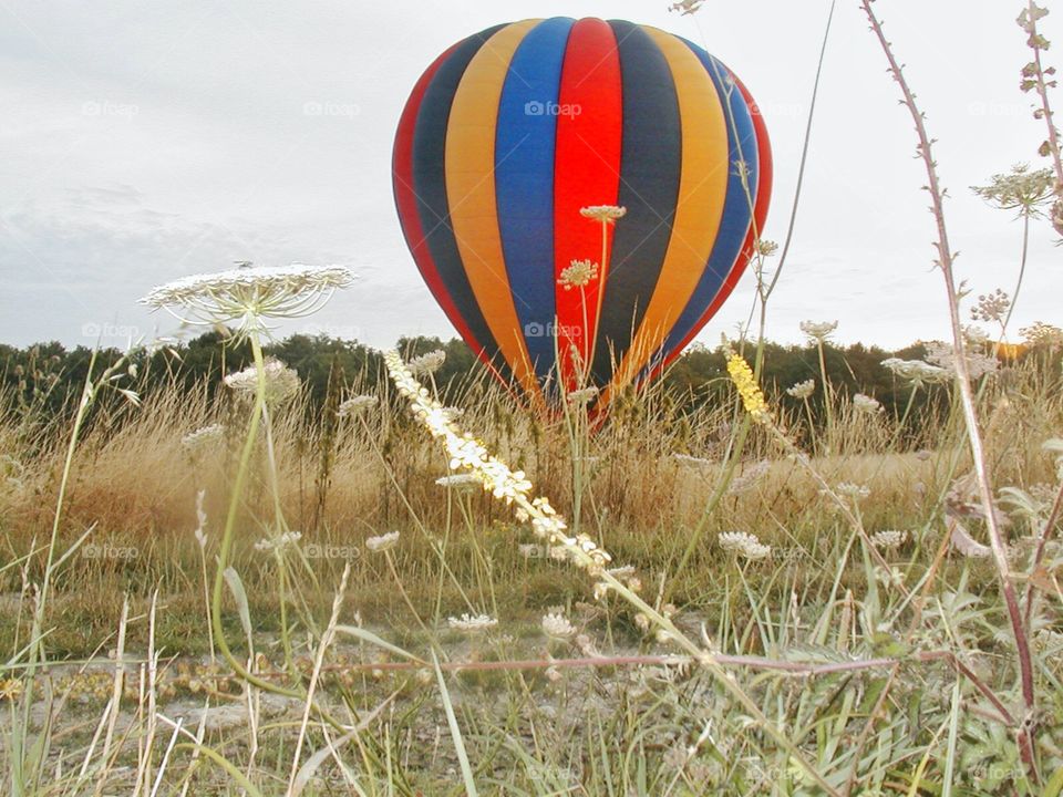 Hot air balloon day