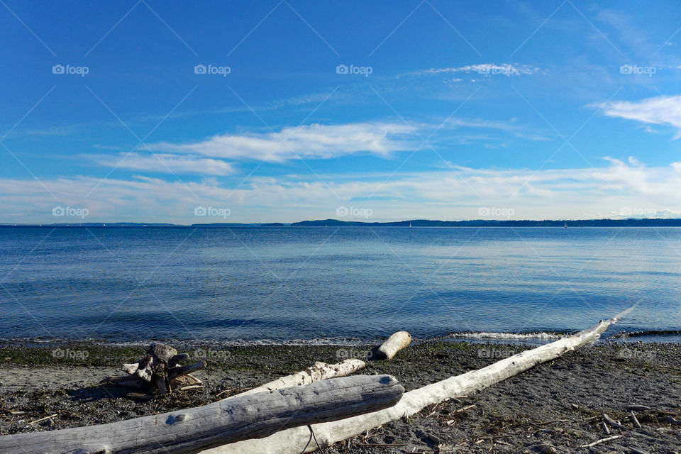 Beach, ocean