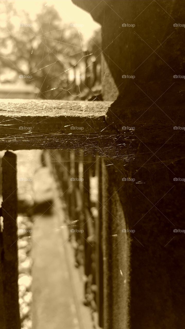 abandoned gravesite with spiderwebs on rusting ironwork