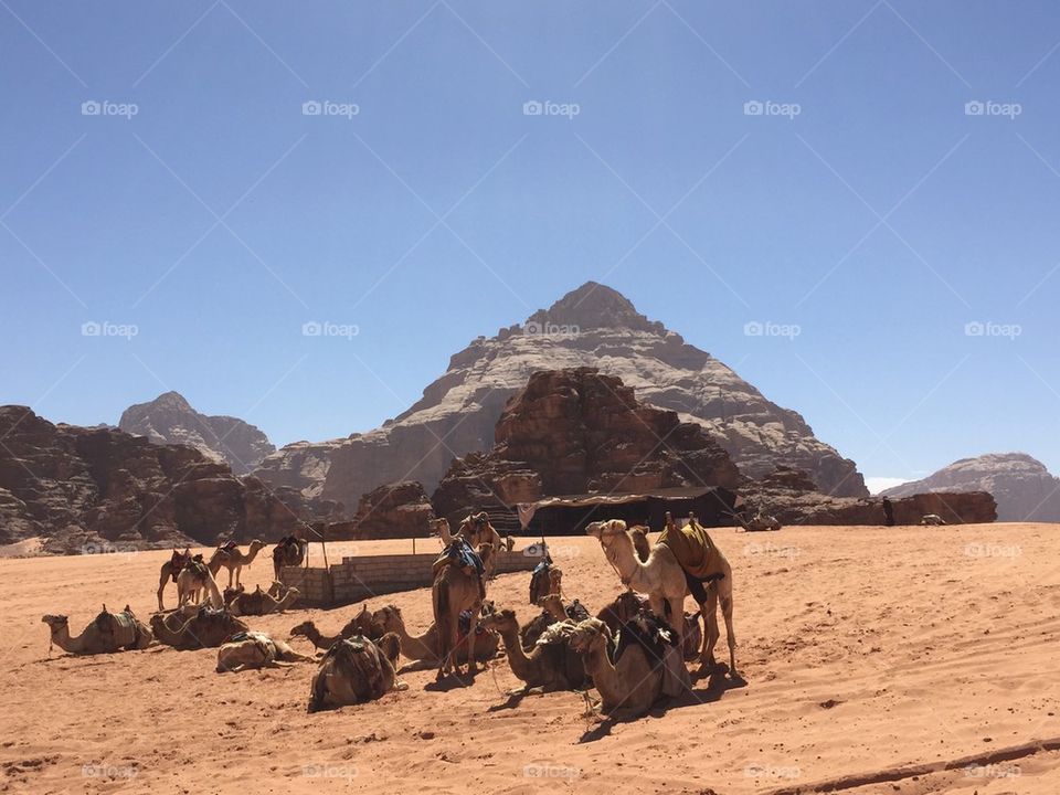 Wadi Rum desert