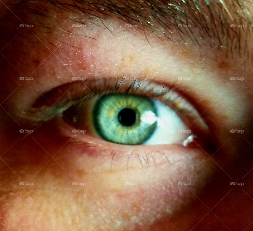 Macro shot of green eye