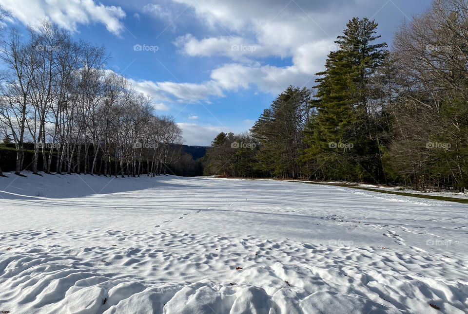 Long shot of a field in winter with blue sky and puffy, white clouds. Trees line either side of the field. New Hampshire winters can be brutally cold and snowy. 