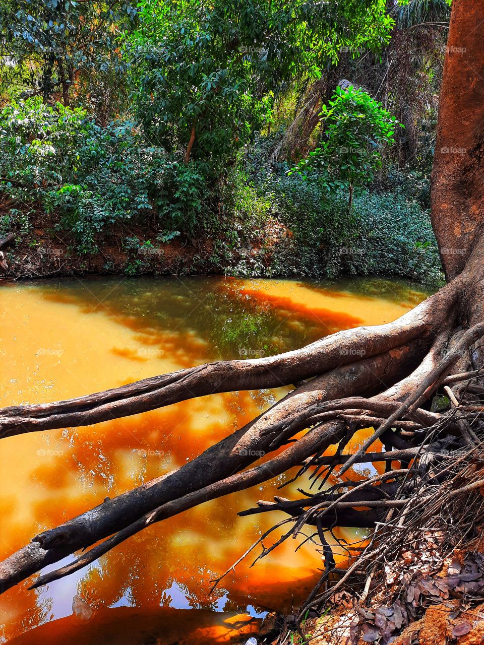 Shadows nearby the river...