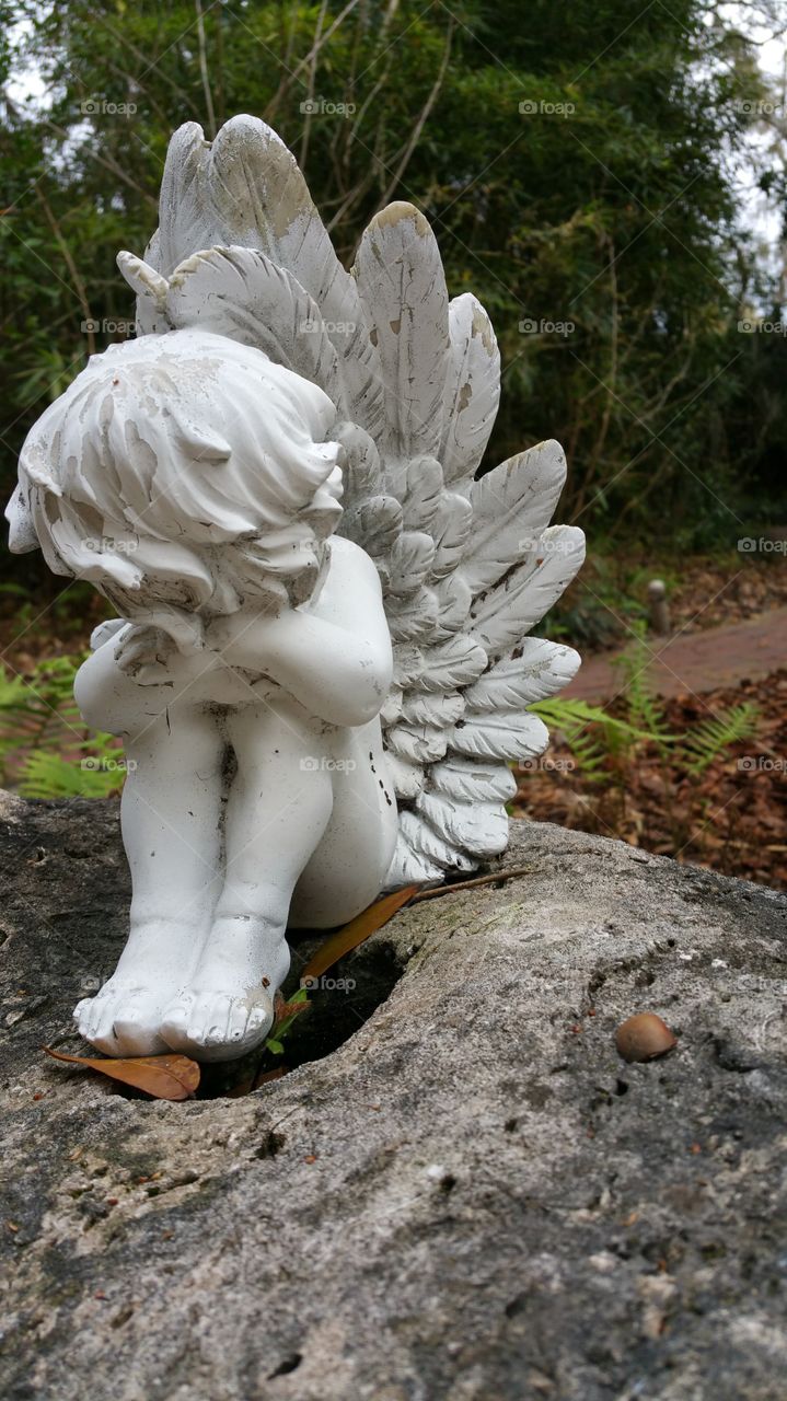 angel in the garden