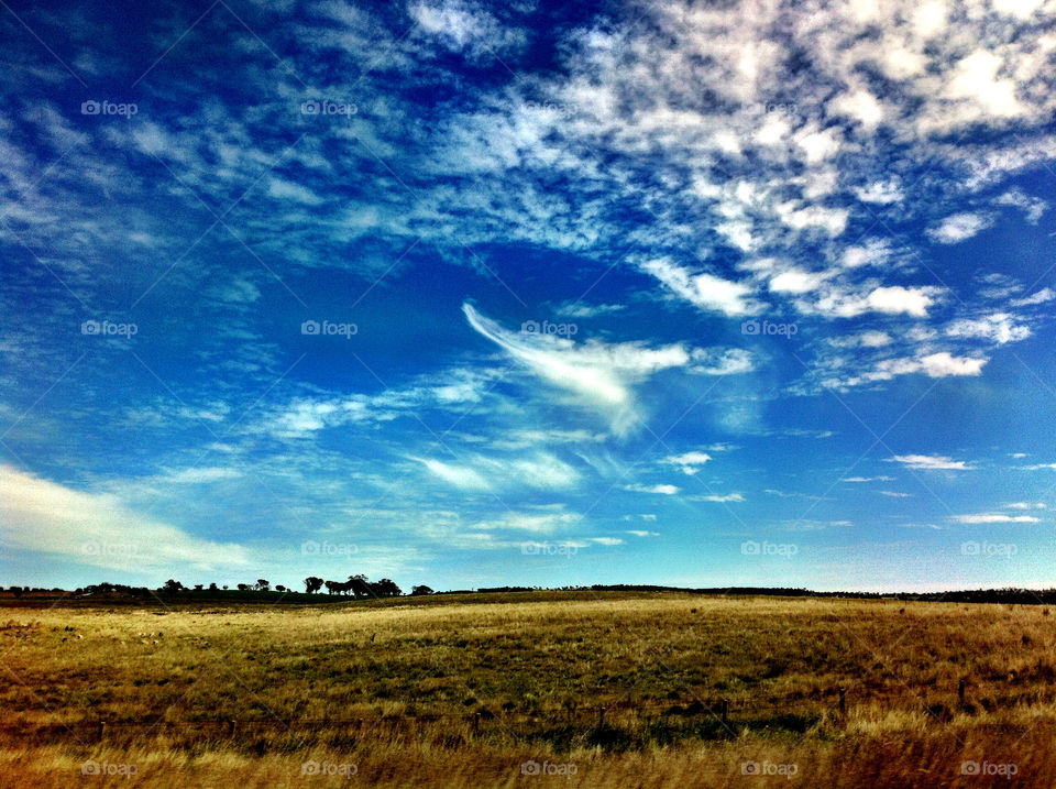 landscape sky field nature by king