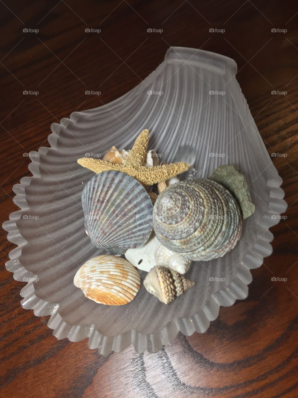 Color mix of tropical shells, clam, Nautilus, starfish in frosted shell shapes glass dish 
