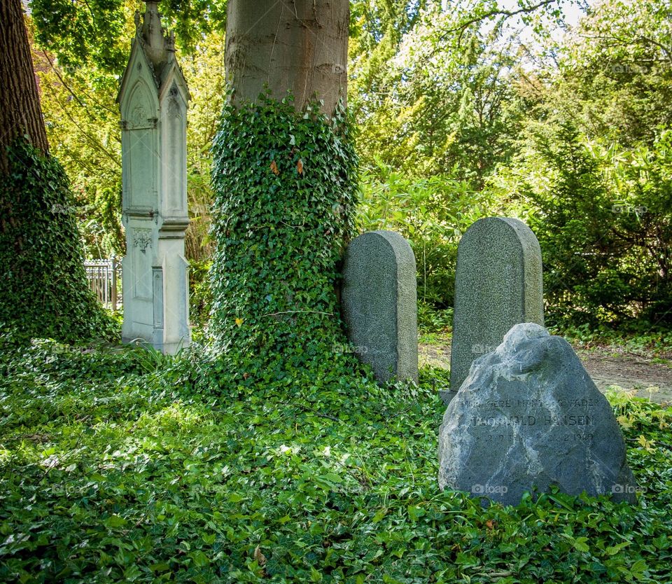 Cemetery 