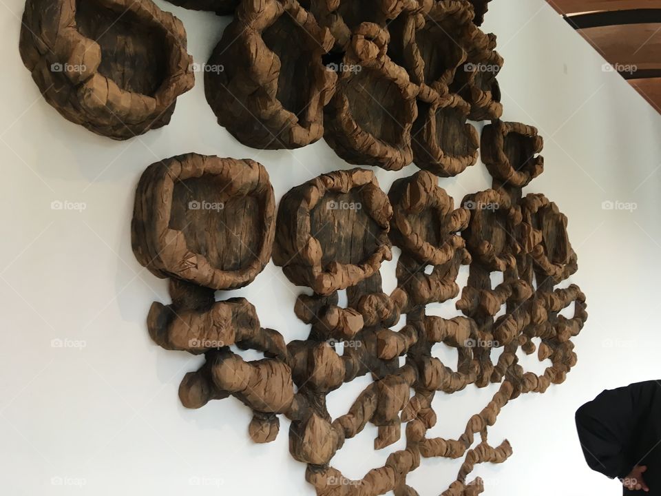 Crystal bridges has some interesting things up on there walls. Not sure what this is.