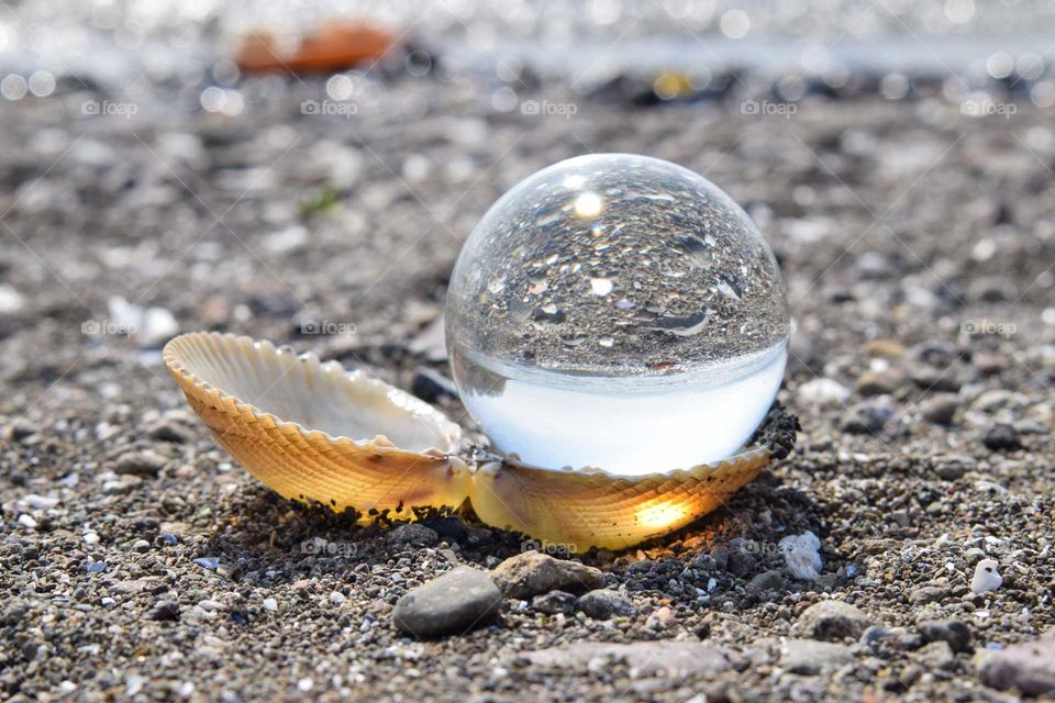 Shell and lensball