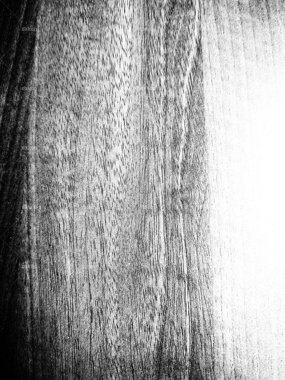 shadow on the wood