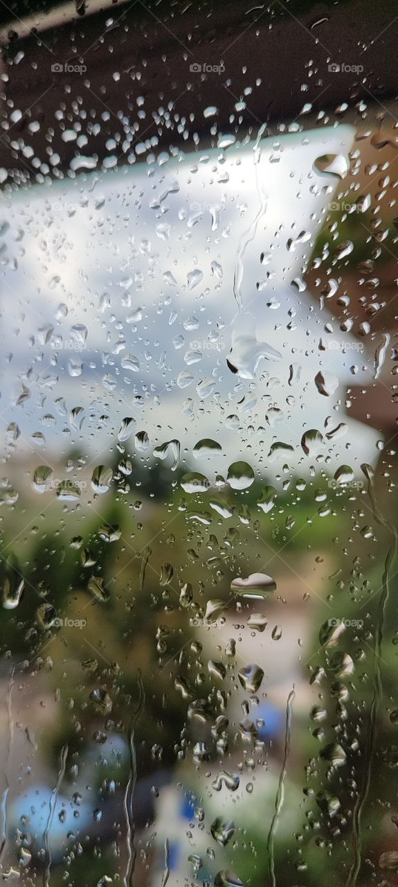 Autumn by the window