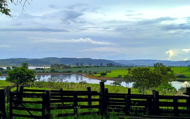 Wooden fence near river