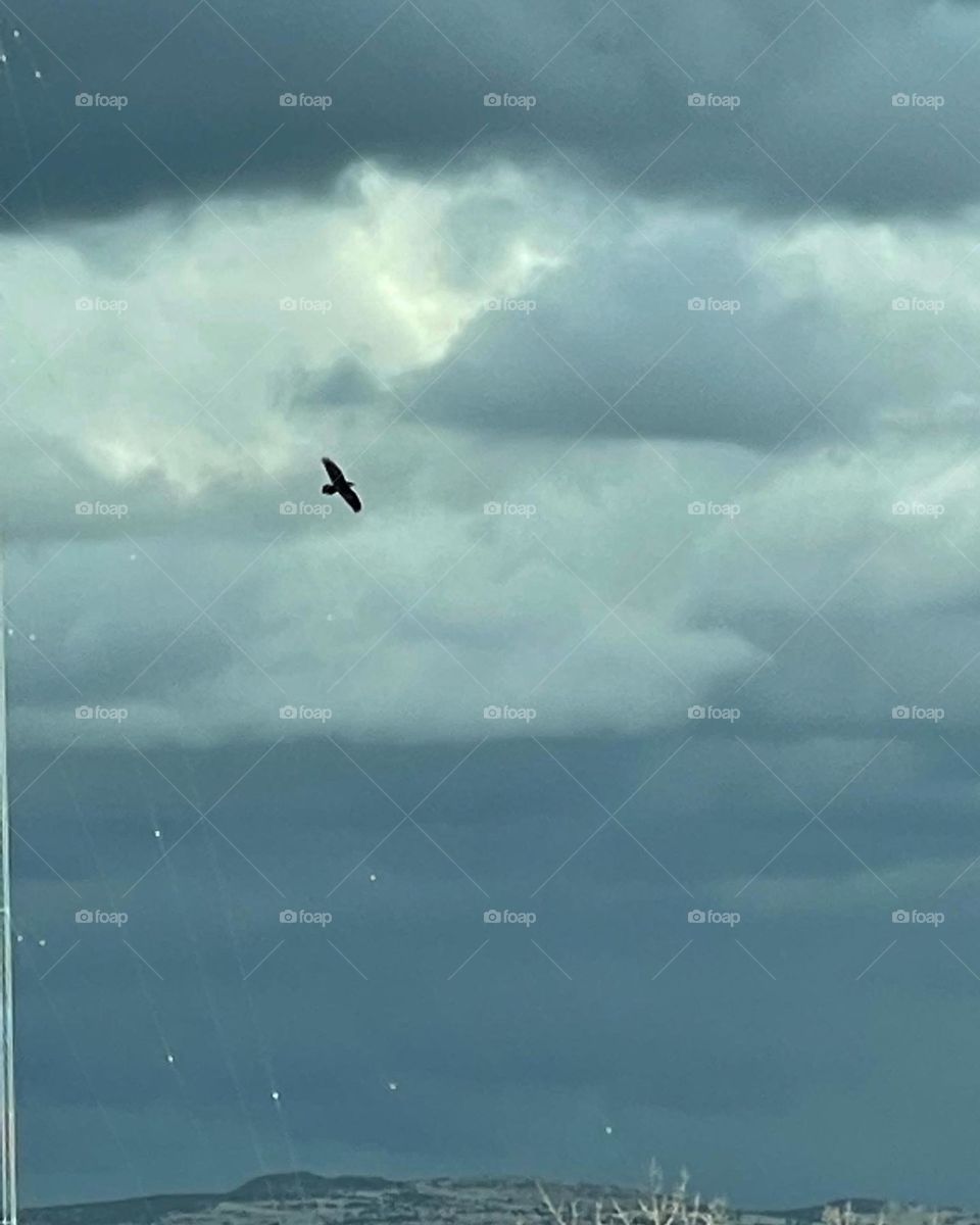 Freedom and happiness!!!