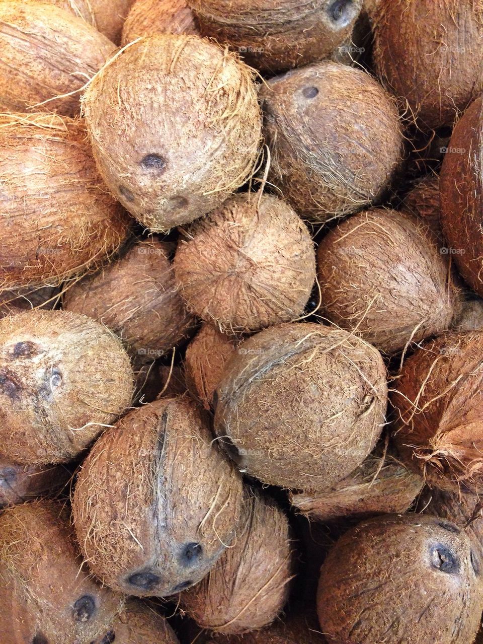 Full frame shot of coconuts