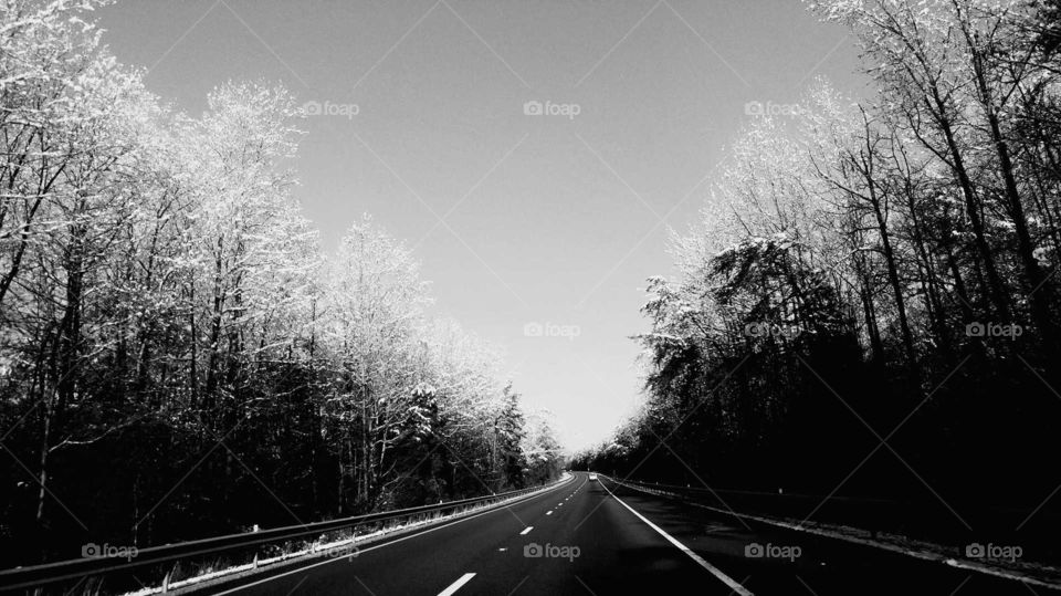 quiet snow lined highway