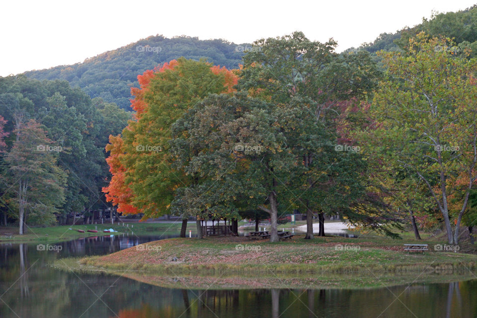 Fall foliage starting to turn