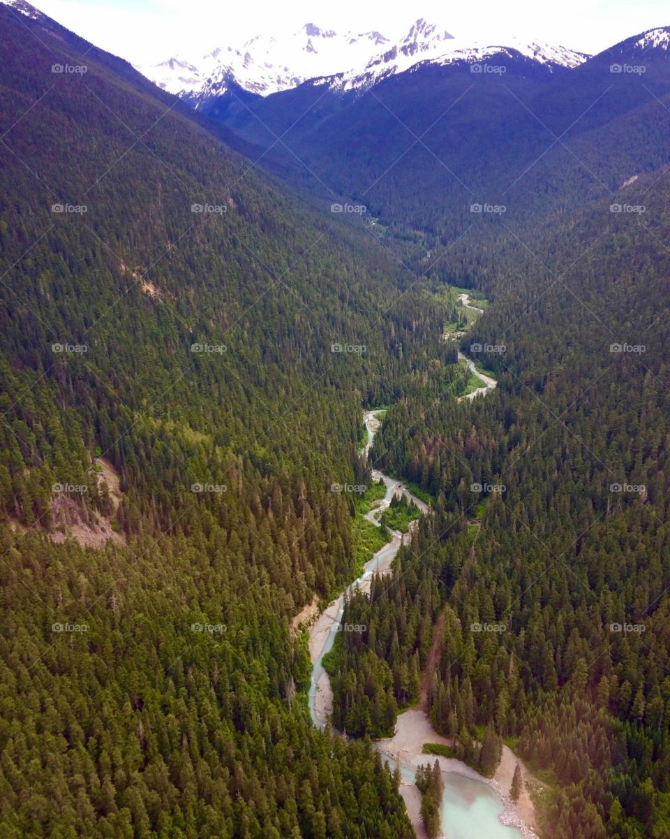 Fitzsimmons creek winding through the valley below. 