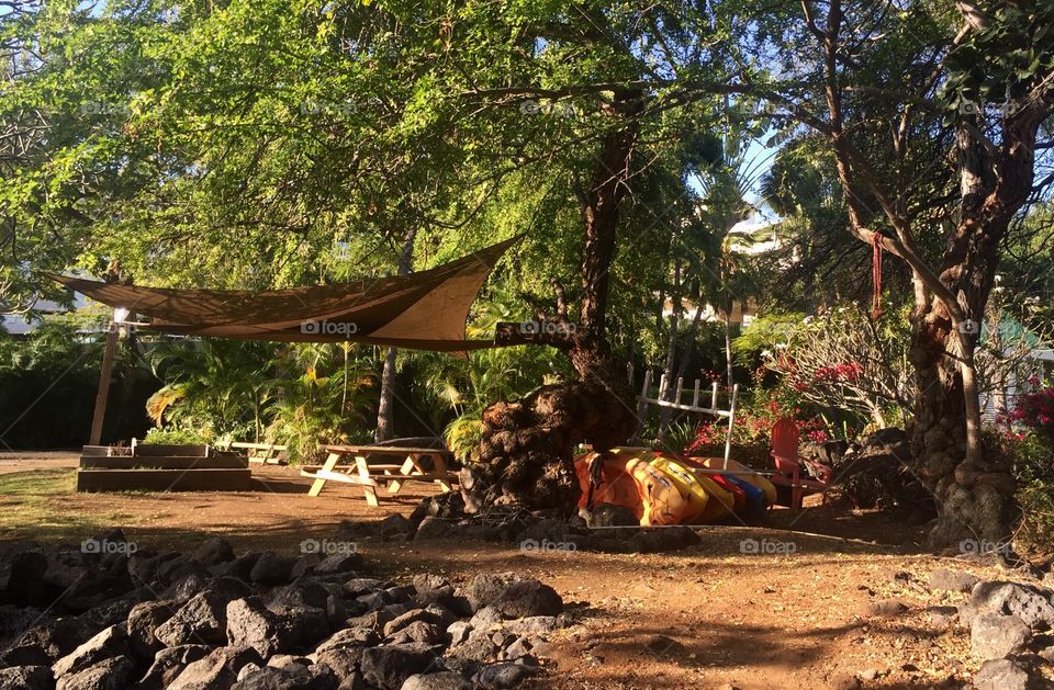 Summertime activities.