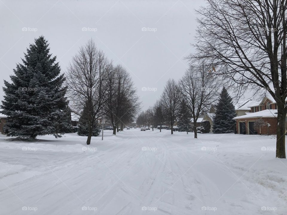 What my street looks like in winter. 
