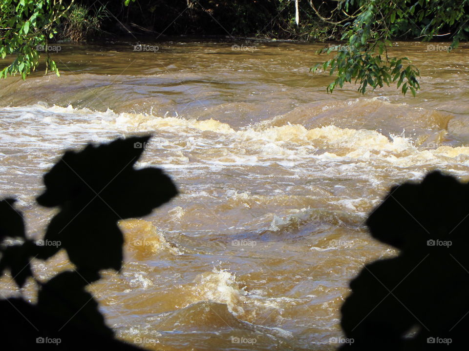 murky river Exe