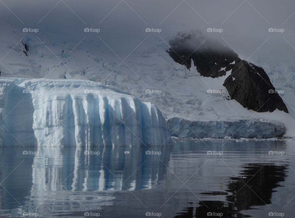 Reflections of Antarctic Icebergs