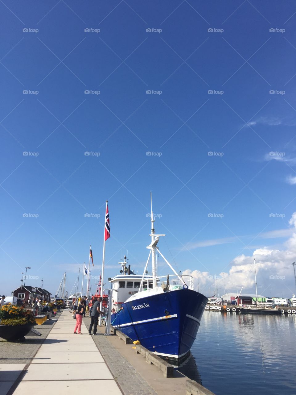 A ship in a harbour