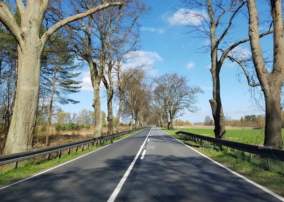 German Countryside