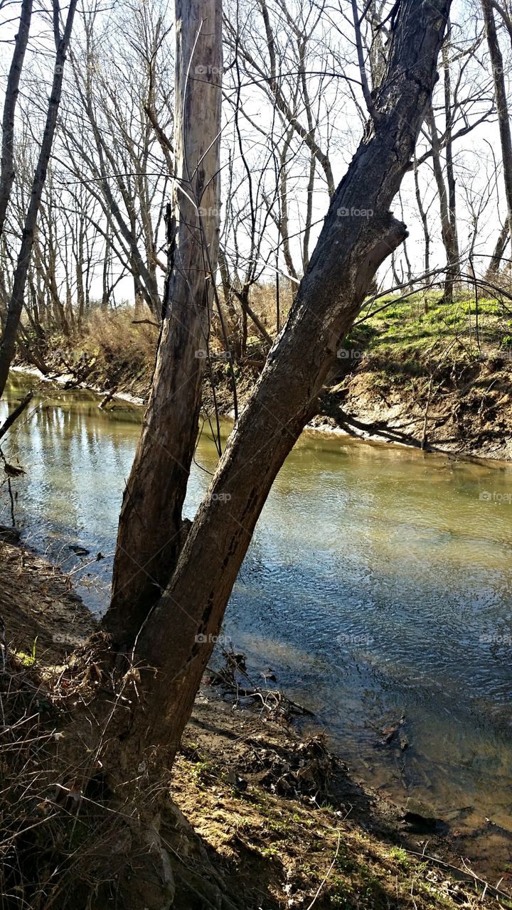River. Spring day
