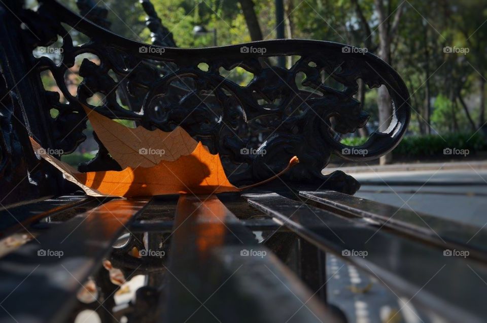 Spending time like a leaf