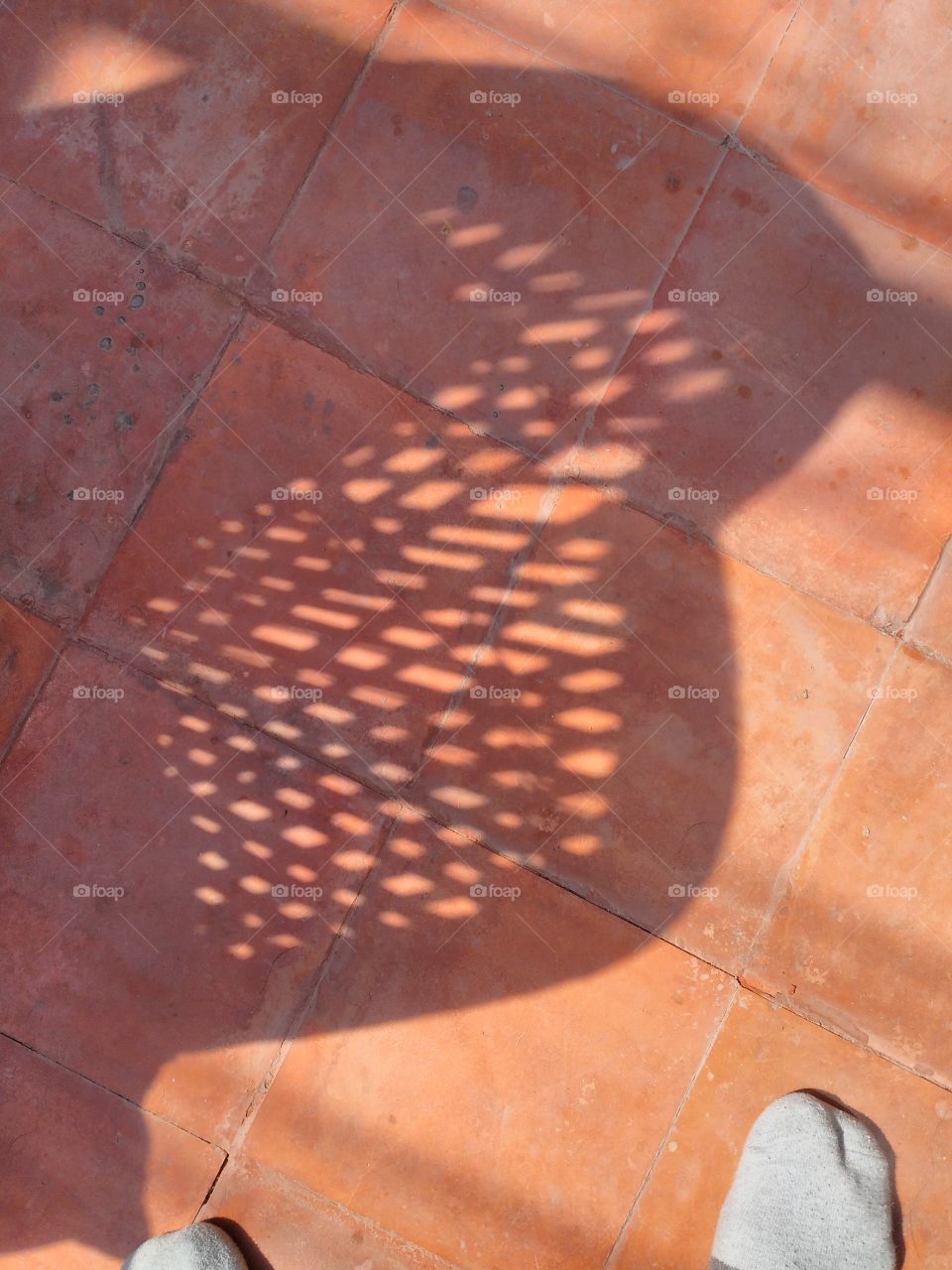 woven shadow