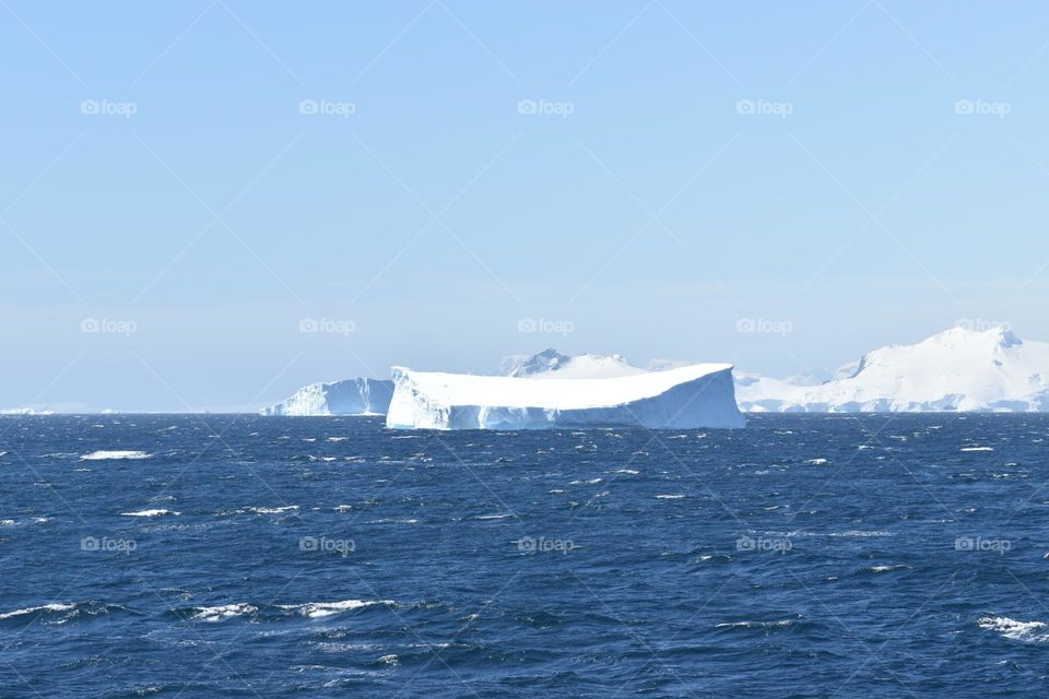 Blue - white wonderland