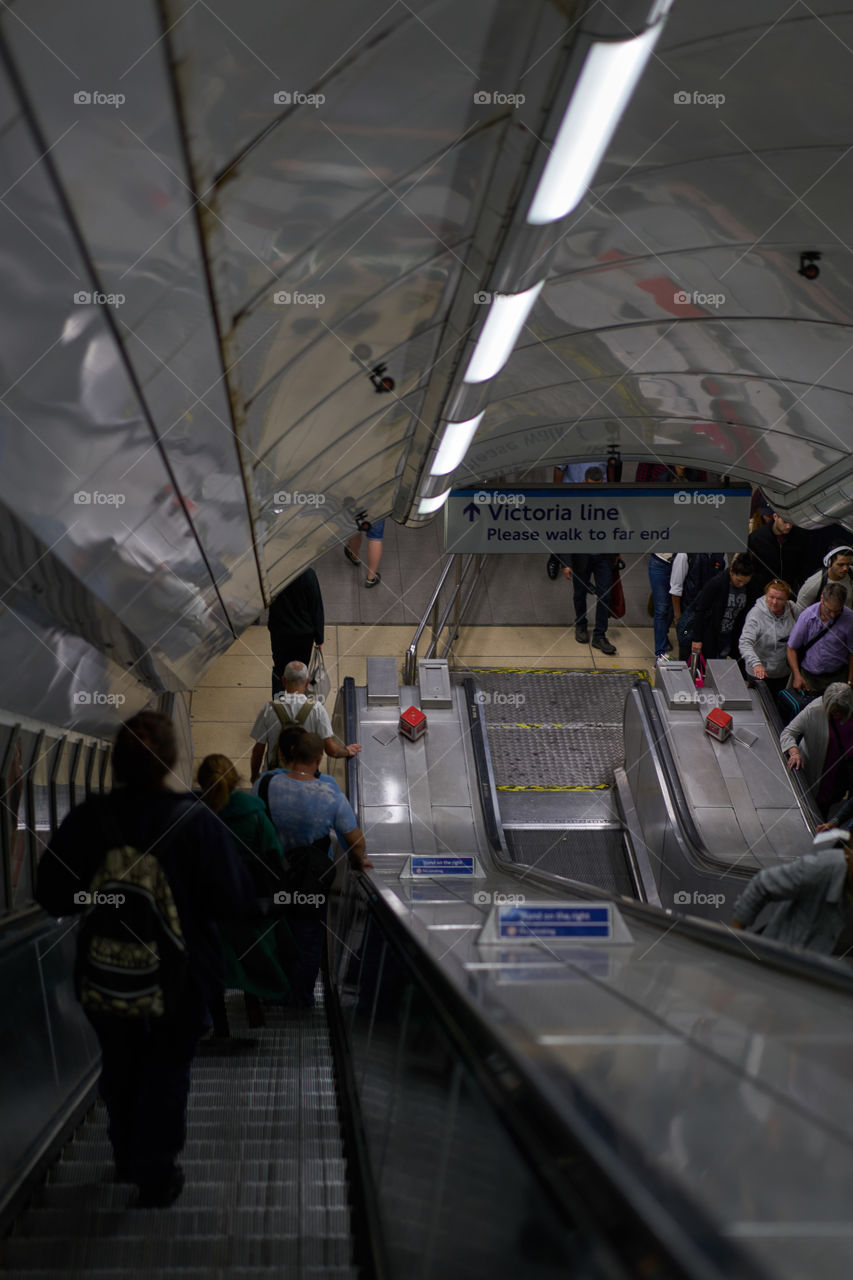 Station Lights