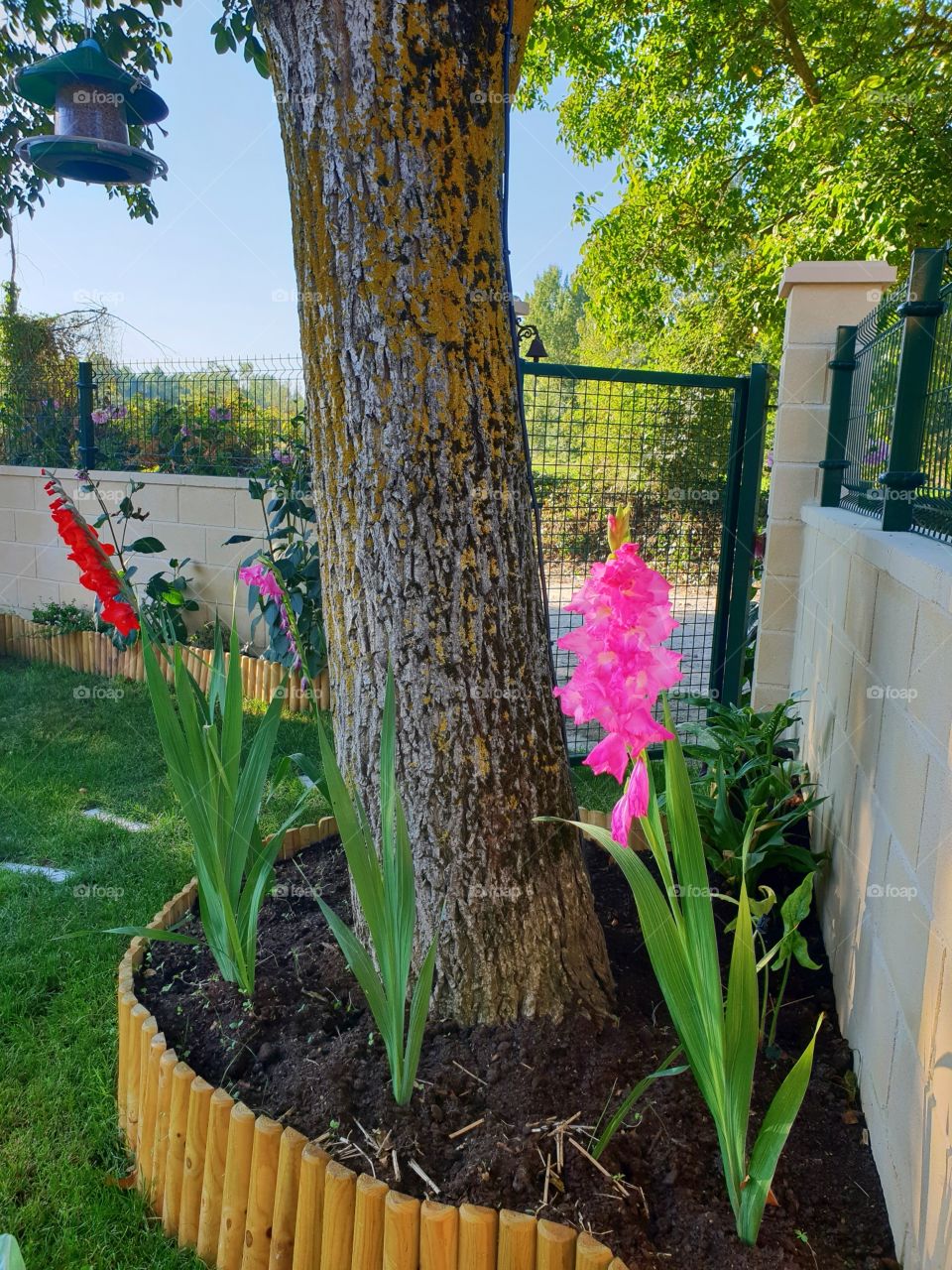 ❤🌹🌷🌼🏵🌻👨‍👩‍👧‍👧