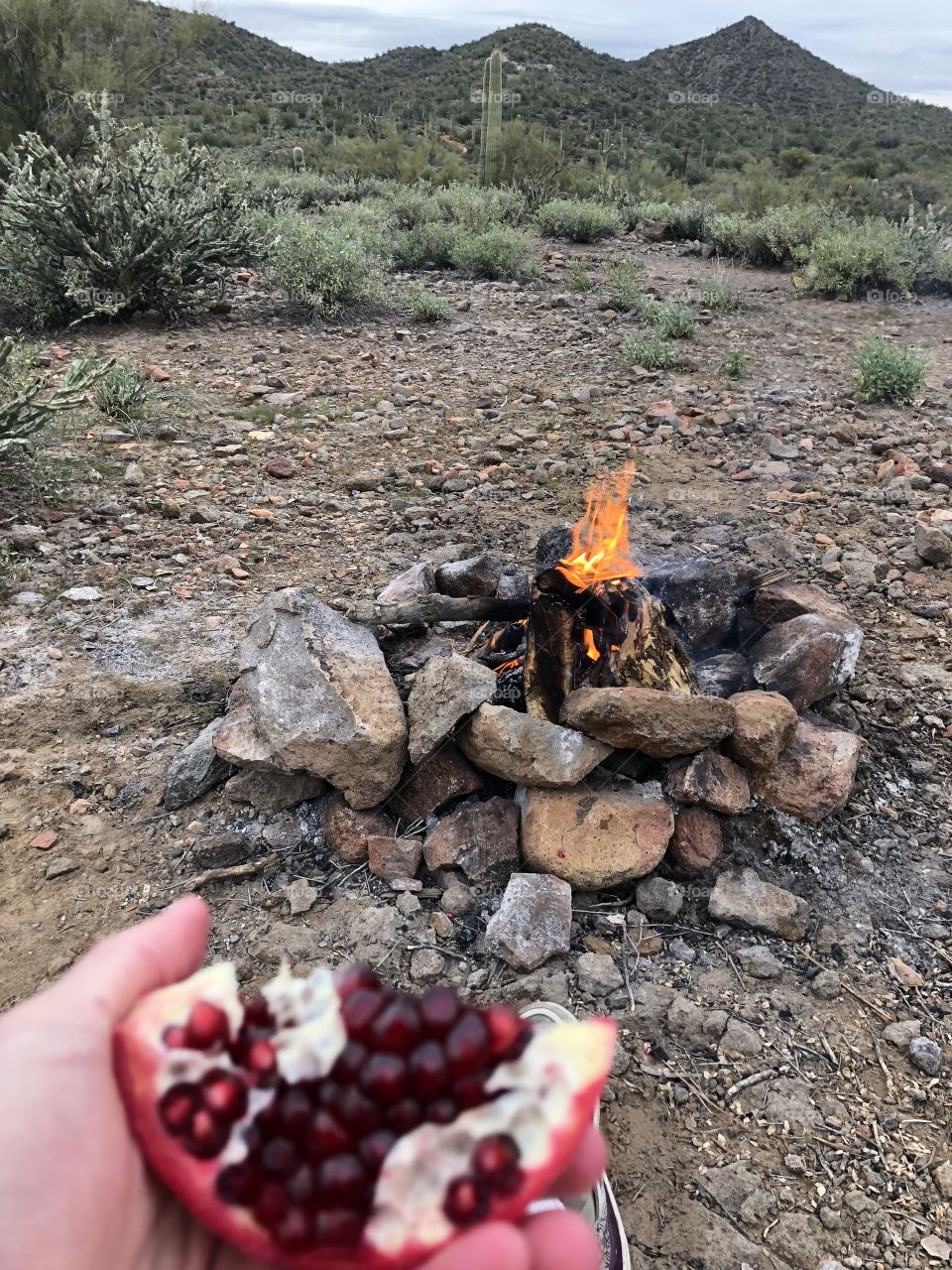 Pomegranate by fire