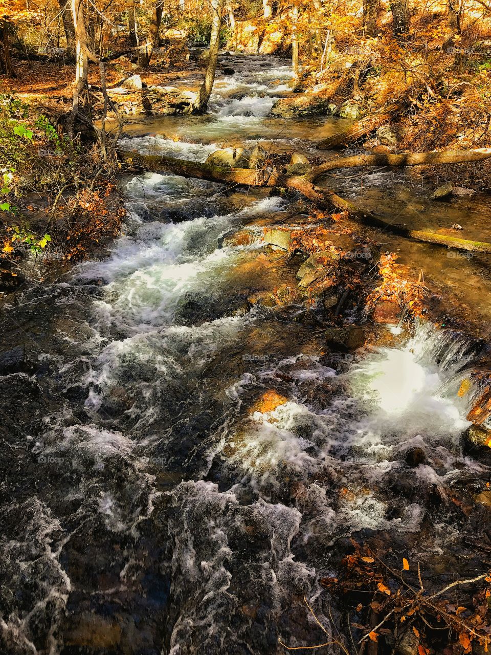 Mountain stream